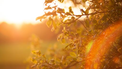 apprécier le moment présent
