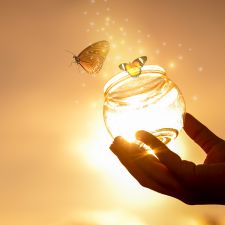 formation et renouveau